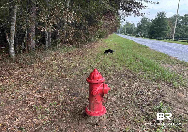 2nd image of Lot 2 County Rd 48, Robertsdale, AL 36567 | MLS# 399864