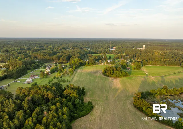 Photo 2 of Land for sale at 0 Bromely Road, Stapleton, AL 36578 | MLS# 409508 | Listing updated on 2026-09-09