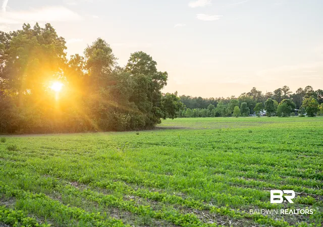 Photo 3 of Land for sale at 0 Bromely Road, Stapleton, AL 36578 | MLS# 409508 | Listing updated on 2026-09-09