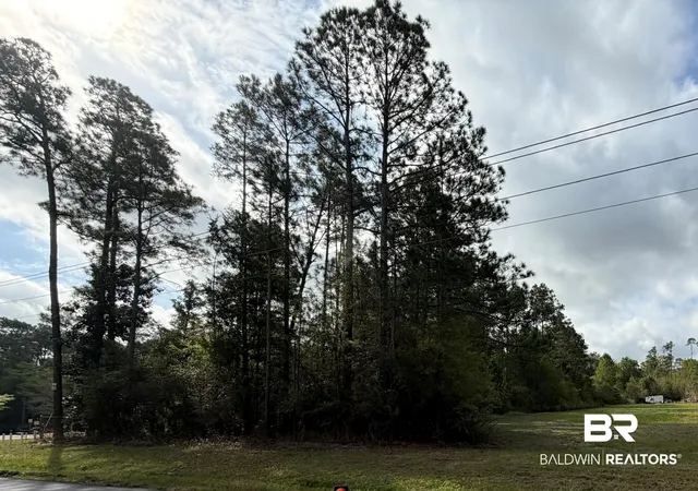 Photo 4 of Land for sale at 0 County Rd 48, Fairhope, AL 36532 | MLS# 399813 | Listing updated on 2026-07-28