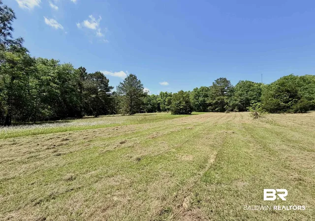 Photo 3 of Land for sale at Pearson Ln, Robertsdale, AL 36567 | MLS# 396570 | Listing updated on 2026-09-14