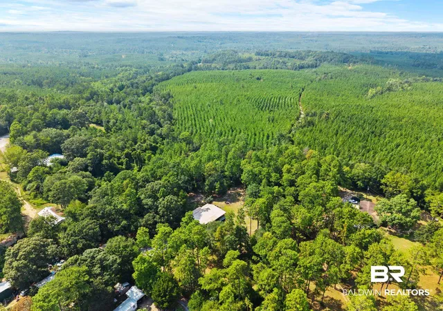 37th image of 12457 Raymond Melton Road, Stapleton, AL 36578 | MLS# 400115