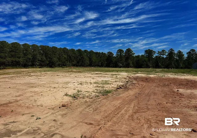 Photo 1 of Sale Pending at Lot 2 0 T Brg Rd, Red Level, AL 36474 | MLS# 396428 | Listing updated on 2026-09-01