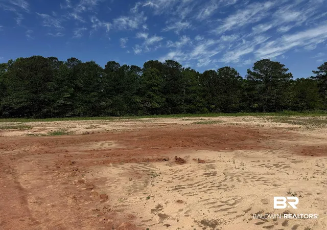 Photo 2 of Sale Pending at Lot 2 0 T Brg Rd, Red Level, AL 36474 | MLS# 396428 | Listing updated on 2026-09-01
