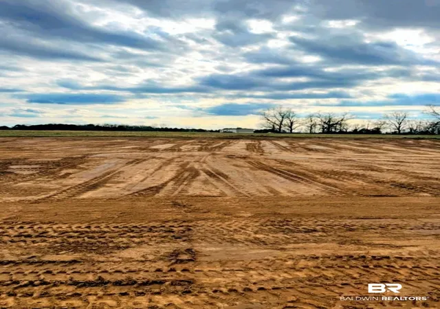 Photo 3 of Sale Pending at Lot 2 0 T Brg Rd, Red Level, AL 36474 | MLS# 396428 | Listing updated on 2026-09-01