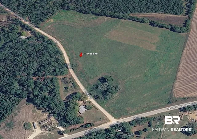 Photo 3 of Sale Pending at Lot 2 0 T Brg Rd, Red Level, AL 36474 | MLS# 396428 | Listing updated on 2026-09-01