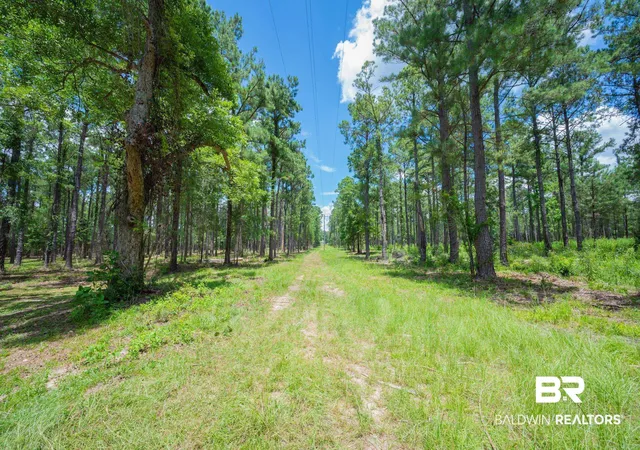 Photo 1 of Land for sale at 0 Hurricane Rd, Bay Minette, AL 36507 | MLS# 398807 | Listing updated on 2026-07-24