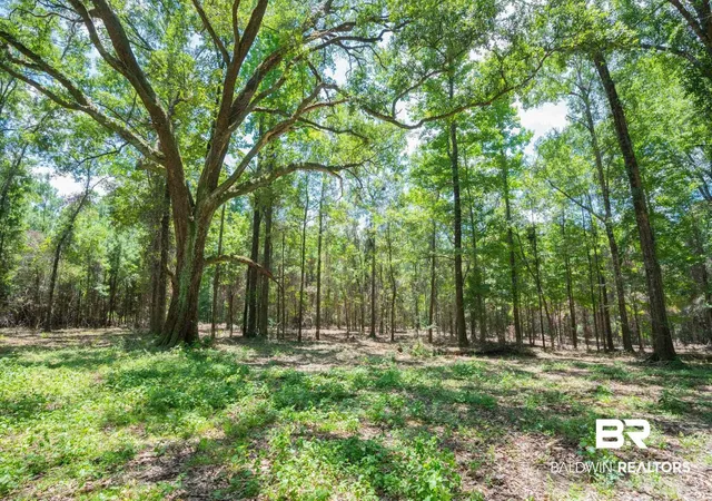 Photo 2 of Land for sale at 0 Hurricane Rd, Bay Minette, AL 36507 | MLS# 398807 | Listing updated on 2026-07-24