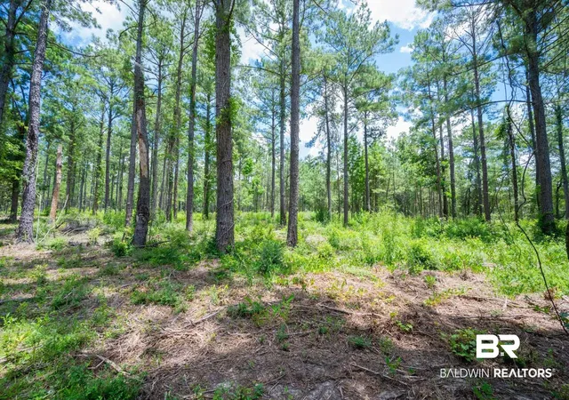 Photo 3 of Land for sale at 0 Hurricane Rd, Bay Minette, AL 36507 | MLS# 398807 | Listing updated on 2026-07-24
