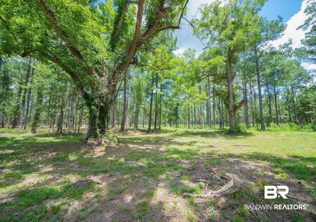 Photo 3 of Land for sale at 0 Hurricane Rd, Bay Minette, AL 36507 | MLS# 398807 | Listing updated on 2026-07-24