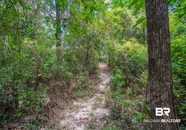 37th image of 1113 Robert Williams Dr, Saraland, AL 36571 | MLS# 409446