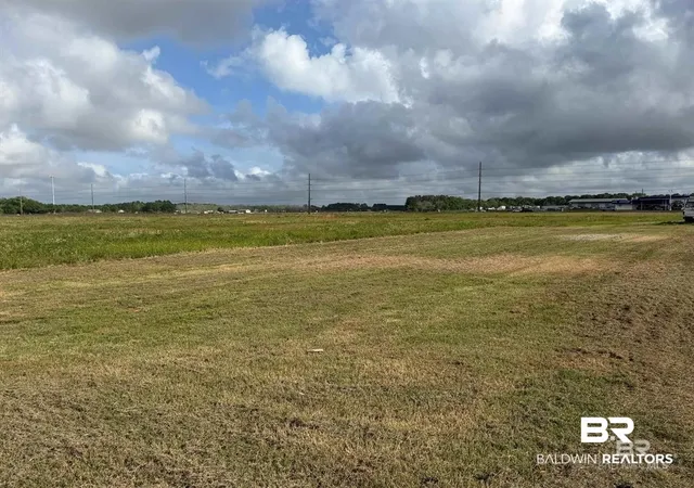 Photo 1 of Land for sale at 0 County Rd 65, Foley, AL 36535 | MLS# 399208 | Listing updated on 2026-09-11
