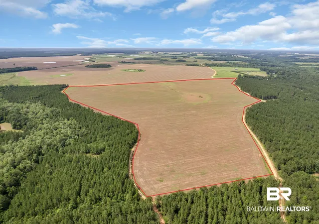Photo 3 of Land for sale at 0 Smithfield Rd, Atmore, AL 36502 | MLS# 397942 | Listing updated on 2026-07-24