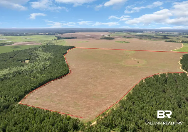 Photo 3 of Land for sale at 0 Smithfield Rd, Atmore, AL 36502 | MLS# 397942 | Listing updated on 2026-07-24