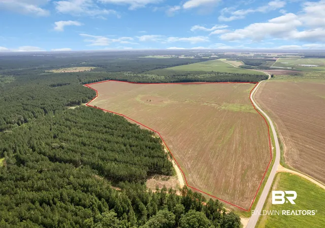 Photo 4 of Land for sale at 0 Smithfield Rd, Atmore, AL 36502 | MLS# 397942 | Listing updated on 2026-07-24