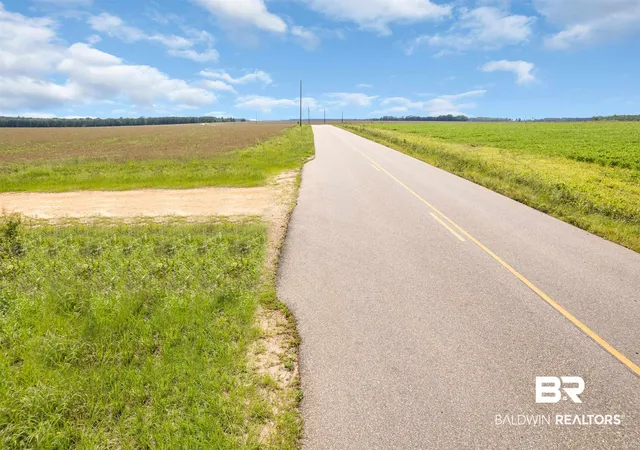 8th image of 0 Smithfield Rd, Atmore, AL 36502 | MLS# 397942