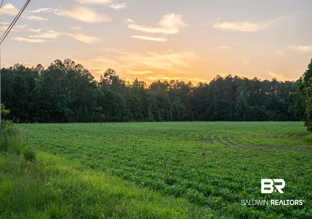 Photo 3 of Sale Pending at 0 Pine Road, Stapleton, AL 36578 | MLS# 409660 | Listing updated on 2026-10-05