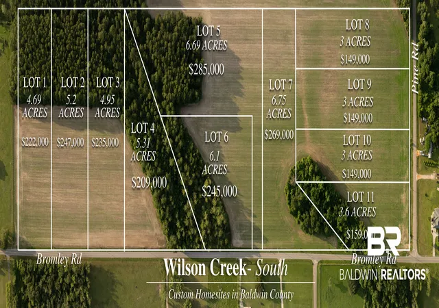 Photo 50 of Sale Pending at 0 Pine Road, Stapleton, AL 36578 | MLS# 409660 | Listing updated on 2026-10-05