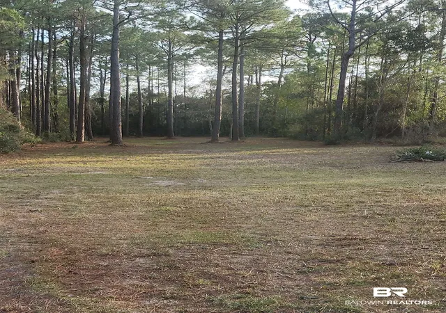 Photo 2 of Land for sale at 17086 State Hwy 180, Gulf Shores, AL 36542 | MLS# 393487 | Listing updated on 2026-08-11