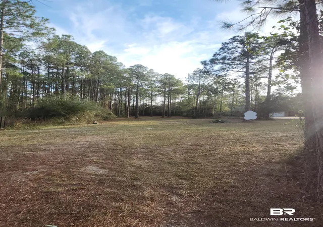 Photo 3 of Land for sale at 17086 State Hwy 180, Gulf Shores, AL 36542 | MLS# 393487 | Listing updated on 2026-08-11