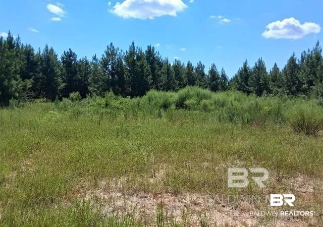Photo 1 of Land for sale at 0000 Linholm Rd, Robertsdale, AL 36567 | MLS# 398755 | Listing updated on 2026-07-28
