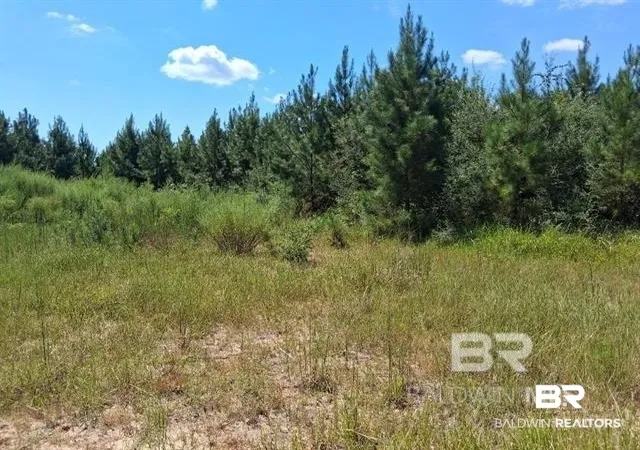 Photo 3 of Land for sale at 0000 Linholm Rd, Robertsdale, AL 36567 | MLS# 398755 | Listing updated on 2026-07-28
