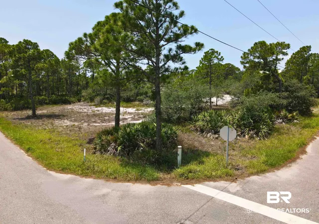Photo 3 of Land for sale at Lot 8 Palmetto Dr, Gulf Shores, AL 36542 | MLS# 398786 | Listing updated on 2026-09-20