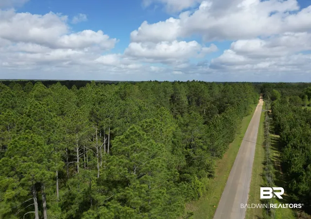Photo 3 of Land for sale at 8200 Blk Grimes Rd, Century, FL 32535 | MLS# 394666 | Listing updated on 2026-09-03