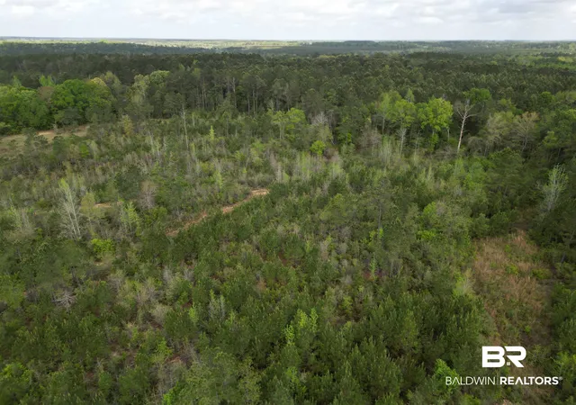 Photo 3 of Land for sale at 8200 Blk Grimes Rd, Century, FL 32535 | MLS# 394666 | Listing updated on 2026-09-03