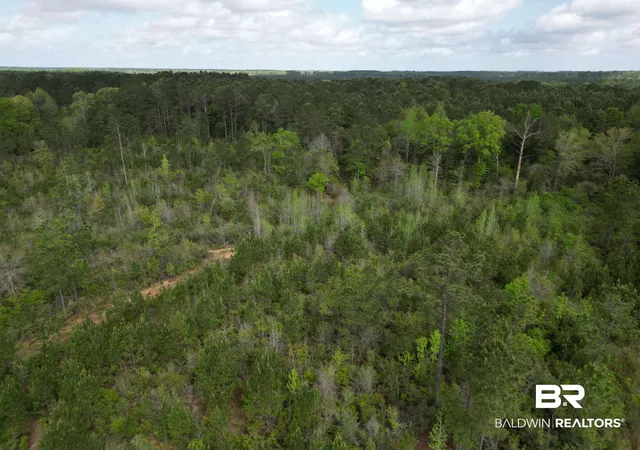 Photo 4 of Land for sale at 8200 Blk Grimes Rd, Century, FL 32535 | MLS# 394666 | Listing updated on 2026-09-03