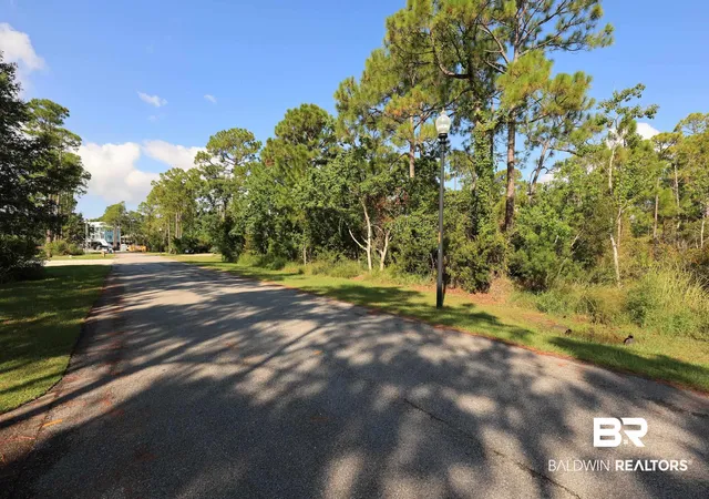 Photo 3 of Land for sale at 0 SE Bayou Dr, Orange Beach, AL 36561 | MLS# 393586 | Listing updated on 2026-09-08