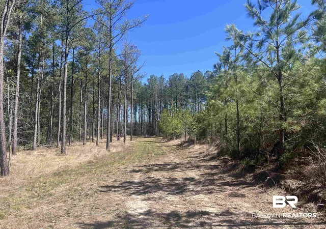 Photo 1 of Land for sale at 2 Robinsonville Road, Atmore, AL 36502 | MLS# 378524 | Listing updated on 2026-07-30