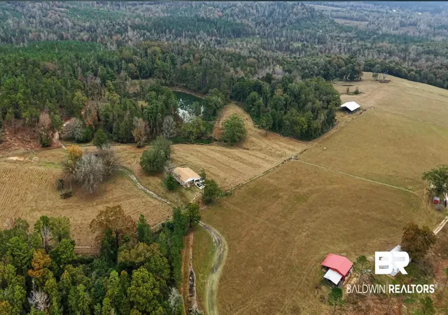 74th image of 9023 County Rd 34, Millry, AL 36558 | MLS# 388582