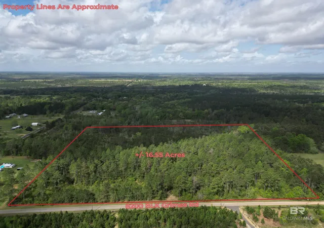 Homes for sale in Century, FL | 8200 Blk Grimes Road, Century, FL 32535 | MLS# 394666