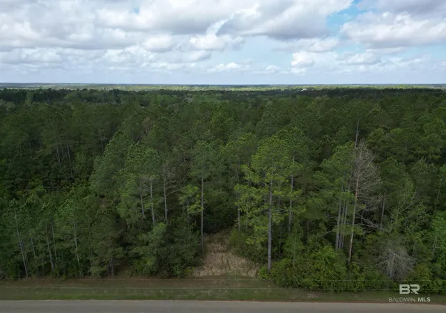 Homes for sale in Century, FL | 8200 Blk Grimes Road, Century, FL 32535 | MLS# 394666