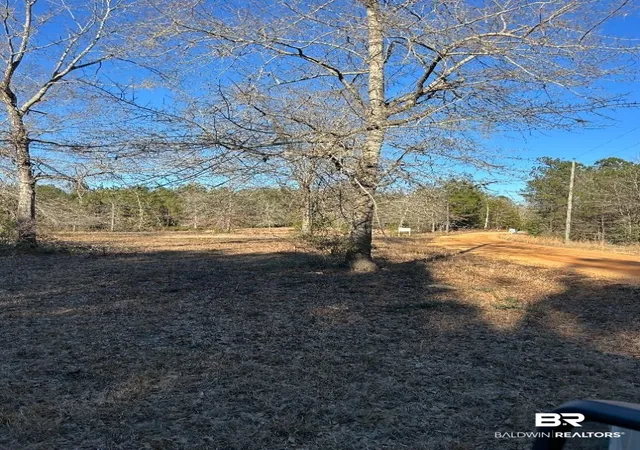 1st image of 0 Buddy Lake Rd, Brewton, AL 36426 | MLS# 393228