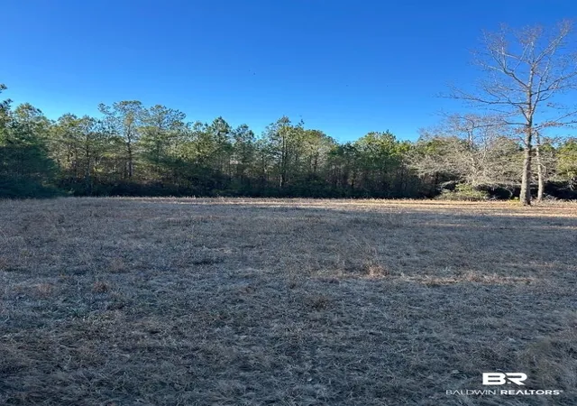 2nd image of 0 Buddy Lake Rd, Brewton, AL 36426 | MLS# 393228