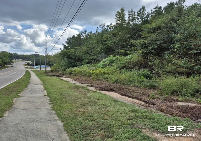 5th image of 0 Liberty Hill Dr, Evergreen, AL 36401 | MLS# 390648