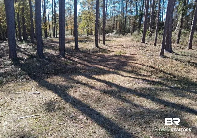 Photo 1 of Land for sale at 10116 Bayhaven Dr, Fairhope, AL 36532 | MLS# 391637 | Listing updated on 2026-07-28