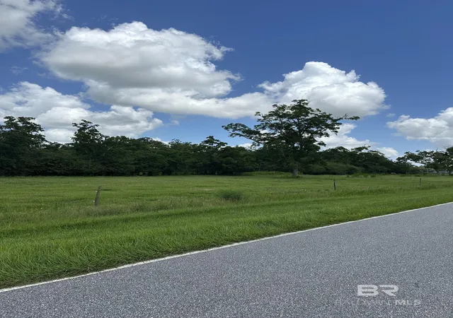 Homes for sale in Elberta, AL | 0 W John Bloch Road, Elberta, AL 36530 | MLS# 398548