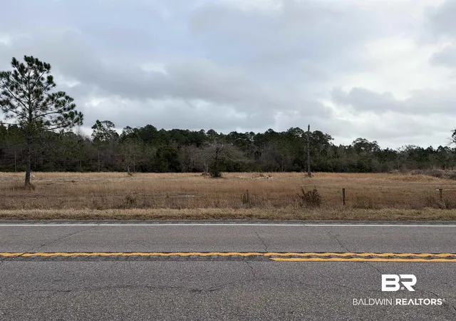 Photo 1 of Land for sale at 10585 Bellingrath Rd, Theodore, AL 36582 | MLS# 392133 | Listing updated on 2026-07-24