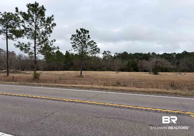 Photo 2 of Land for sale at 10585 Bellingrath Rd, Theodore, AL 36582 | MLS# 392133 | Listing updated on 2026-07-24