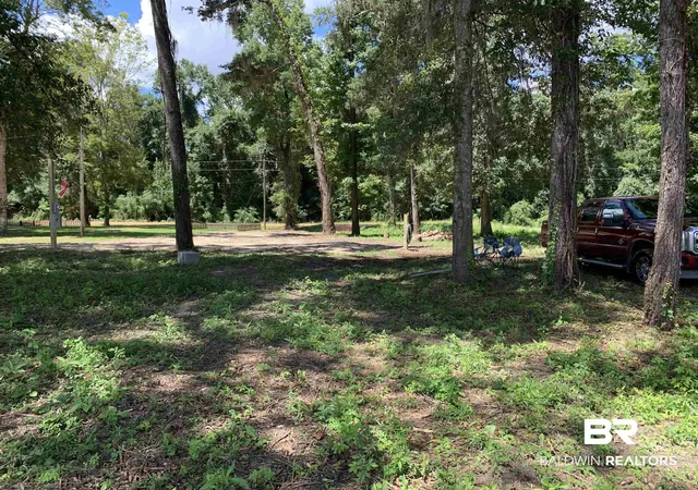 2nd image of 87 Sandy Bottoms Rd, Gainestown, AL 36540 | MLS# 394892