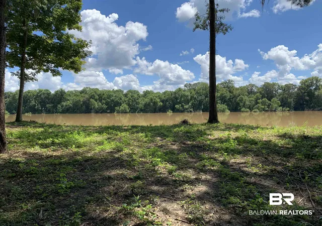 3rd image of 87 Sandy Bottoms Rd, Gainestown, AL 36540 | MLS# 394892