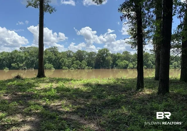 4th image of 87 Sandy Bottoms Rd, Gainestown, AL 36540 | MLS# 394892