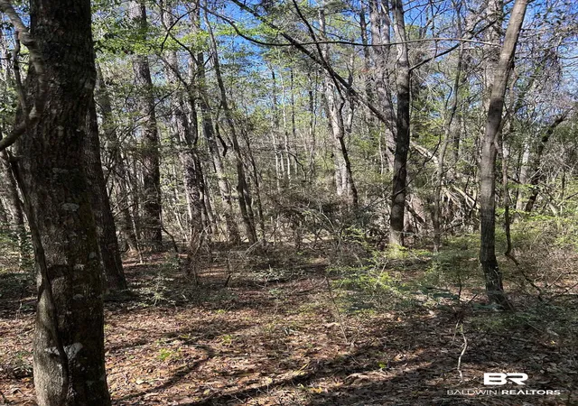 5th image of 0 Fleming Ln, Brewton, AL 36426 | MLS# 394098