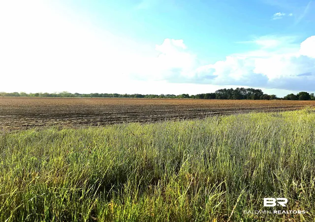 2nd image of 0 Ross Rd, Atmore, AL 36502 | MLS# 398993