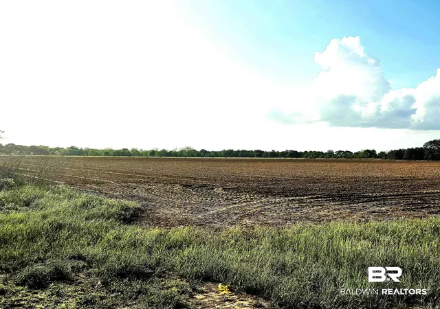 Photo 3 of Sale Pending at 0 Ross Rd, Atmore, AL 36502 | MLS# 398993 | Listing updated on 2026-08-02