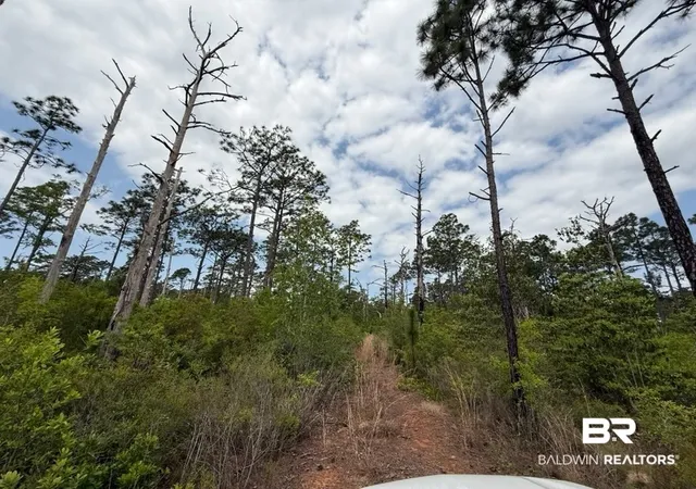 Photo 2 of Land for sale at 6589 Aegean Dr, Milton, FL 32583 | MLS# 408983 | Listing updated on 2026-09-25
