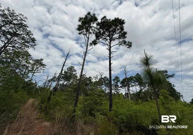 Photo 3 of Land for sale at 6589 Aegean Dr, Milton, FL 32583 | MLS# 408983 | Listing updated on 2026-09-25